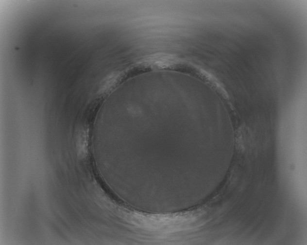 X0000062830018200601171431