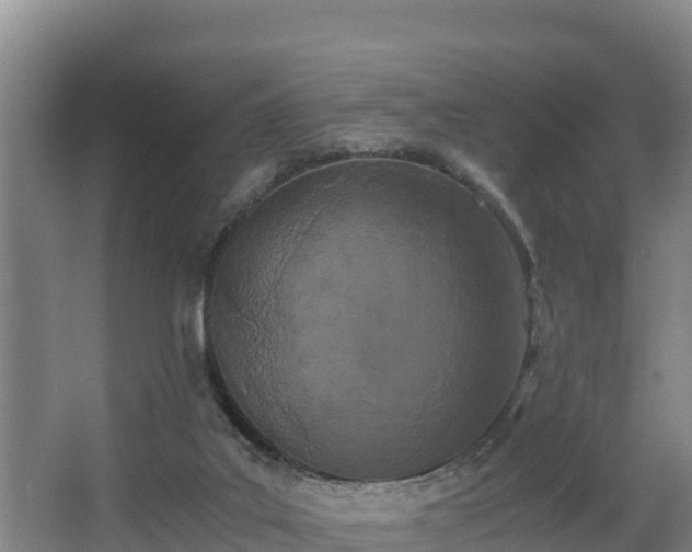 X0000062830019200601171431