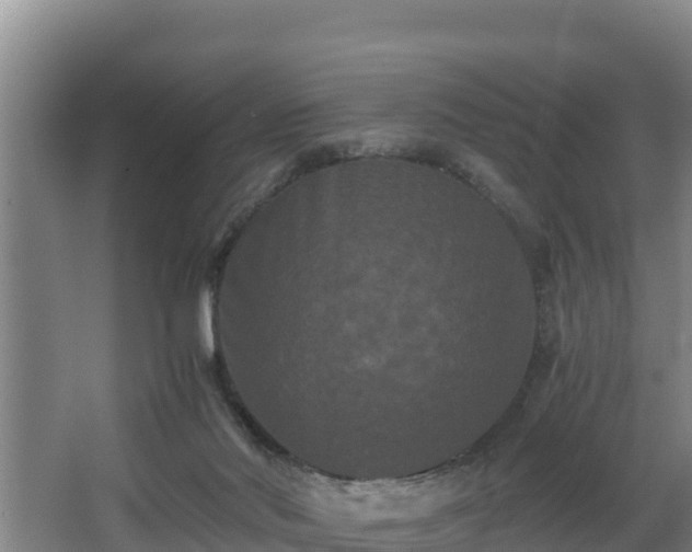 X0000062830022200601171431