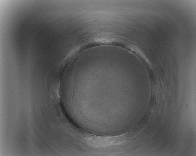 X0000062830023200601171431