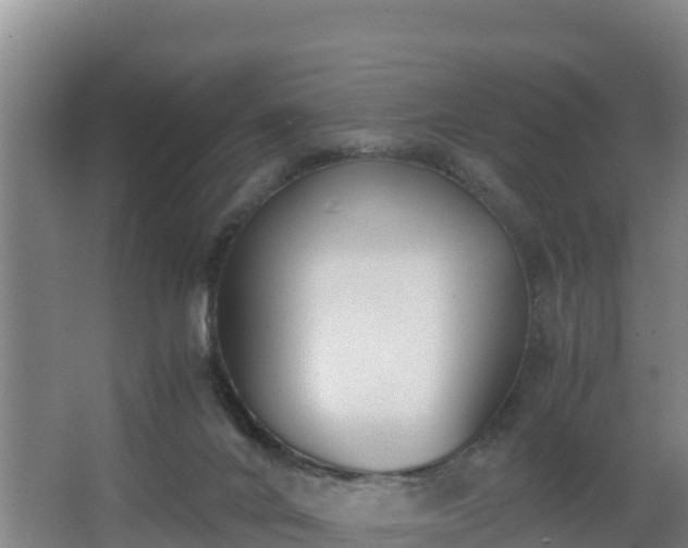 X0000062830024200601171431