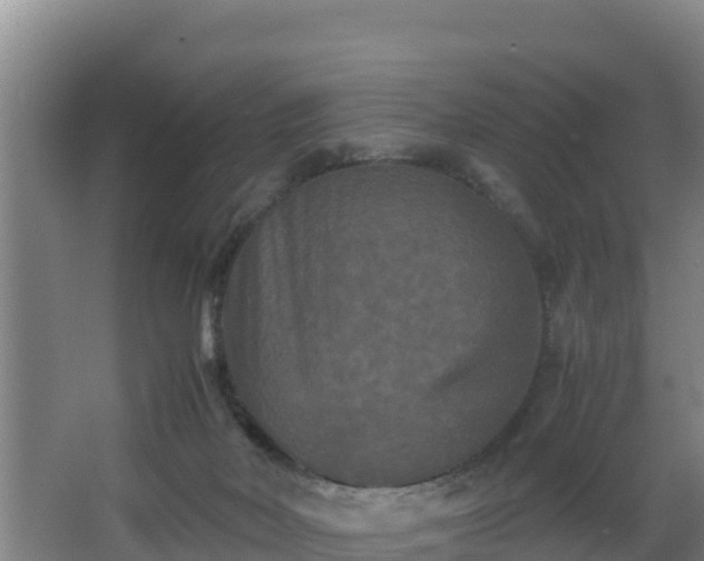 X0000062830026200601171431