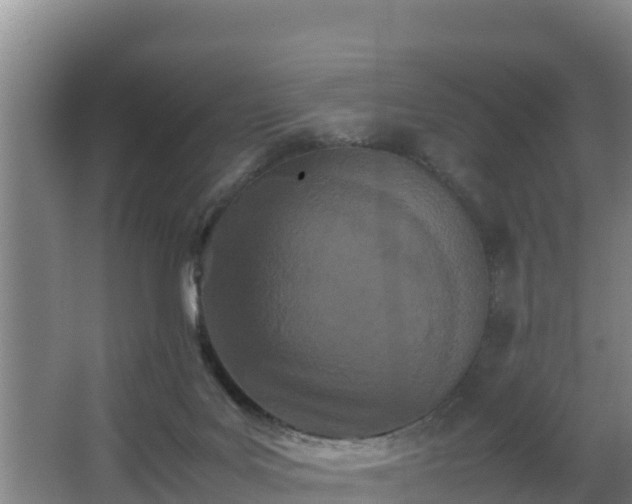 X0000062830027200601171431