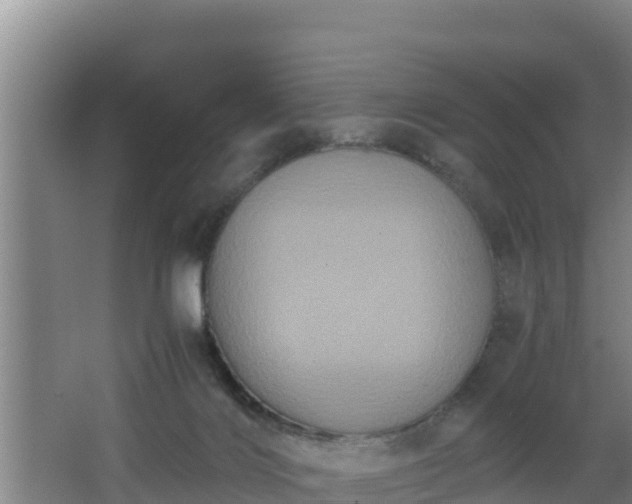 X0000062830028200601171431