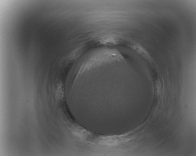 X0000062830029200601171431