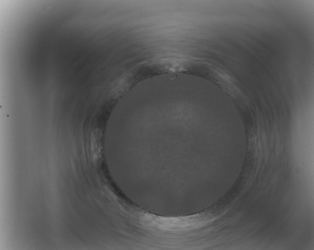 X0000062830030200601171431