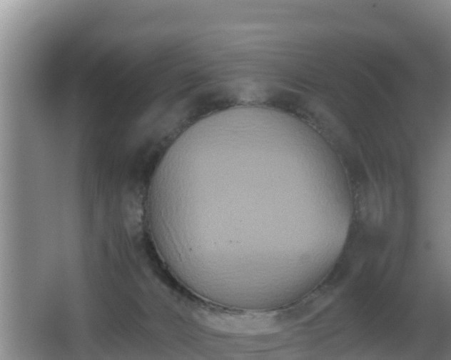 X0000062830032200601171431