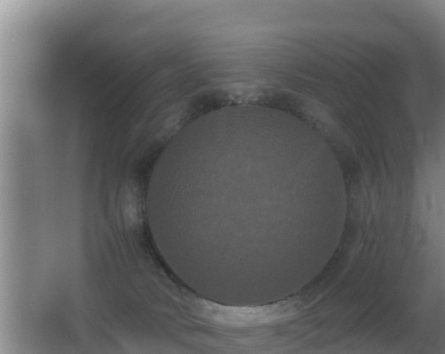 X0000062830034200601171431