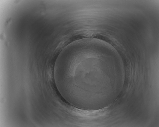 X0000062830035200601171431