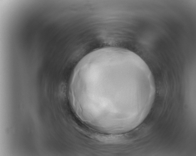 X0000062830036200601171431