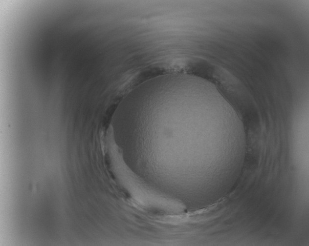 X0000062830037200601171431