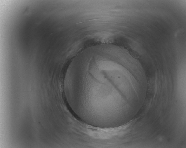 X0000062830039200601171431