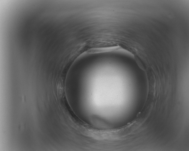 X0000062830040200601171431