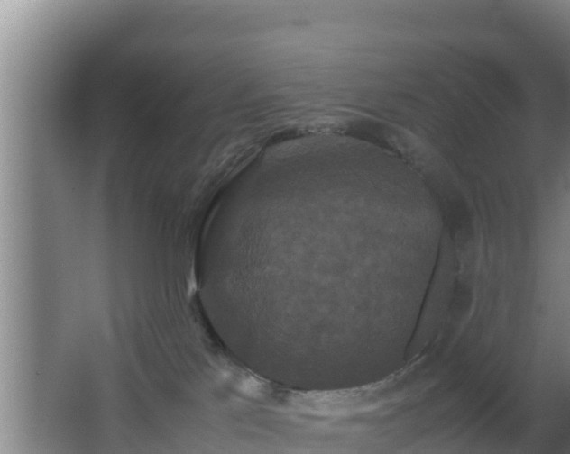 X0000062830041200601171431