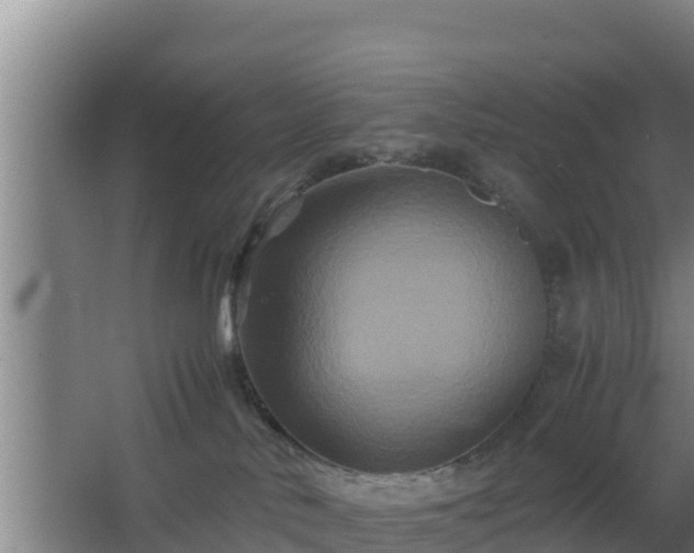 X0000062830042200601171431