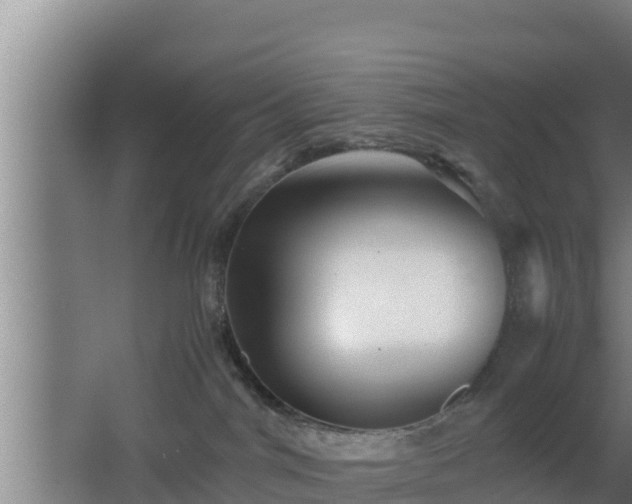 X0000062830044200601171431