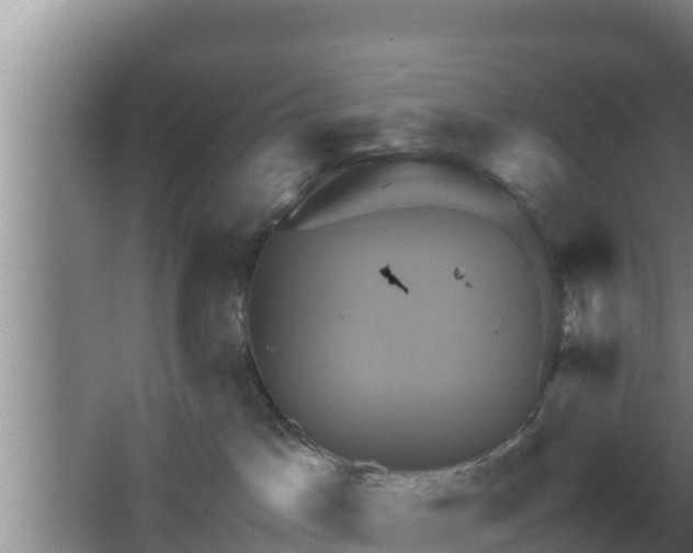 X0000062830045200601171431