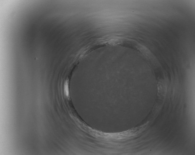 X0000062830046200601171431