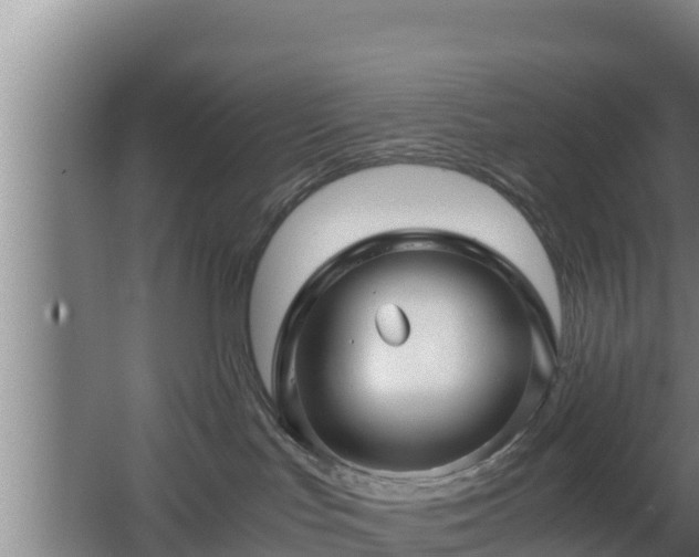 X0000062830047200601171431