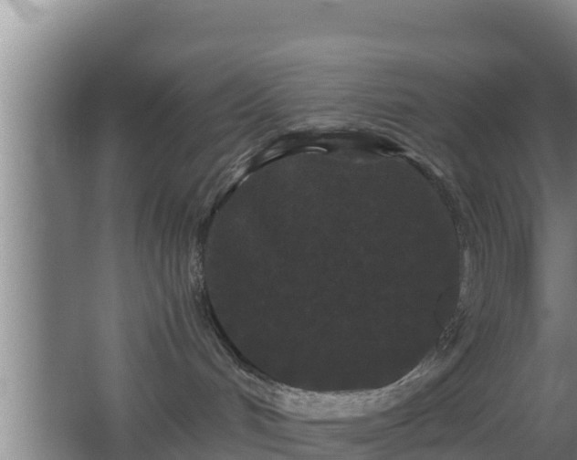 X0000062830048200601171431