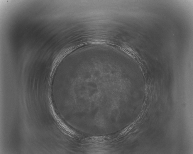 X0000062830049200601171430