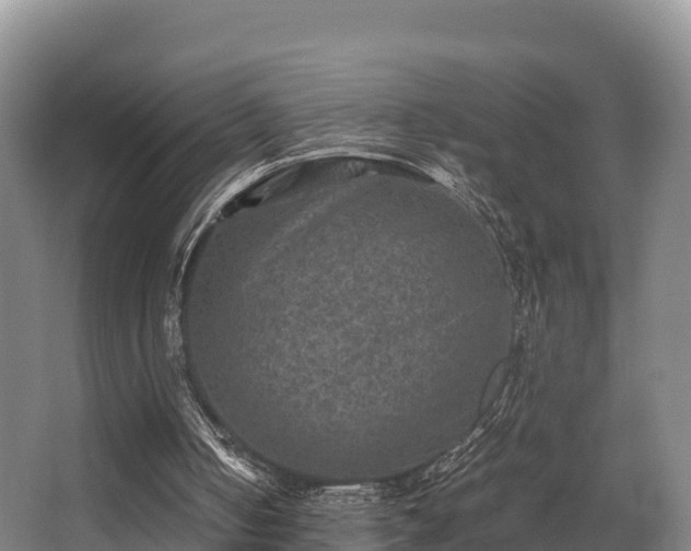 X0000062830050200601171430