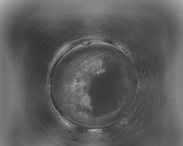 X0000062830053200601171430