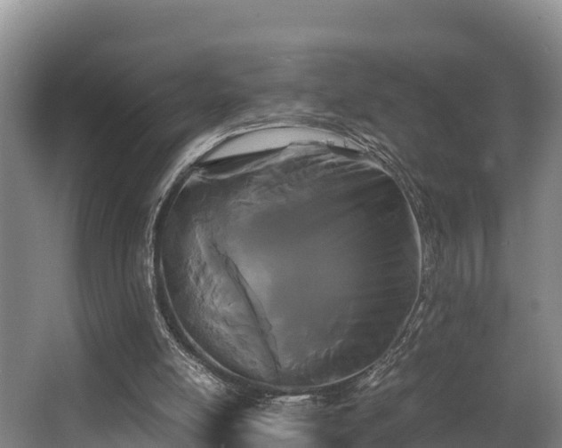 X0000062830054200601171430