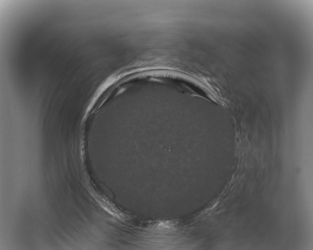 X0000062830056200601171430