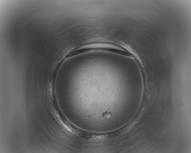 X0000062830057200601171430