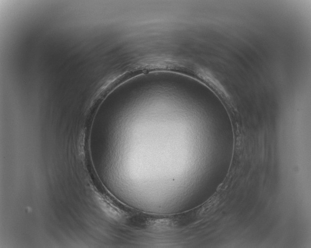 X0000062830058200601171430