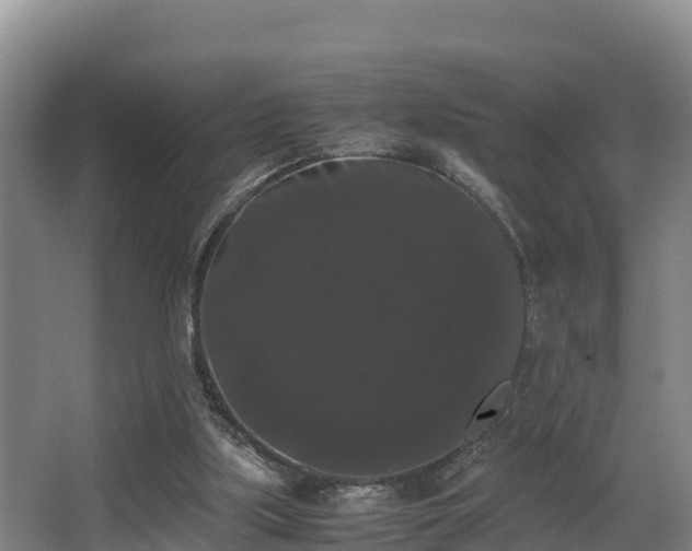 X0000062830059200601171430