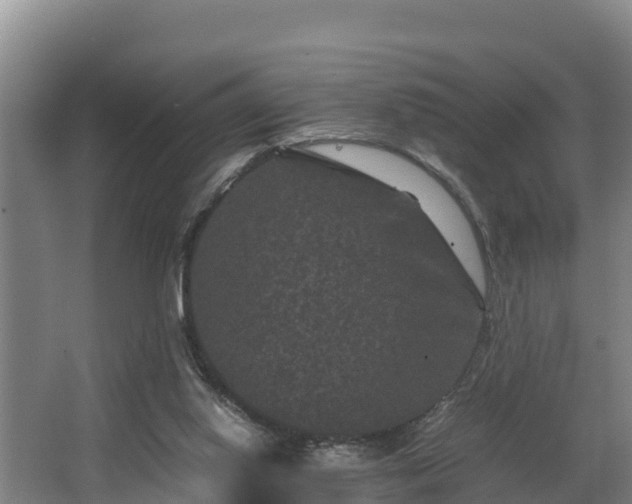 X0000062830062200601171430