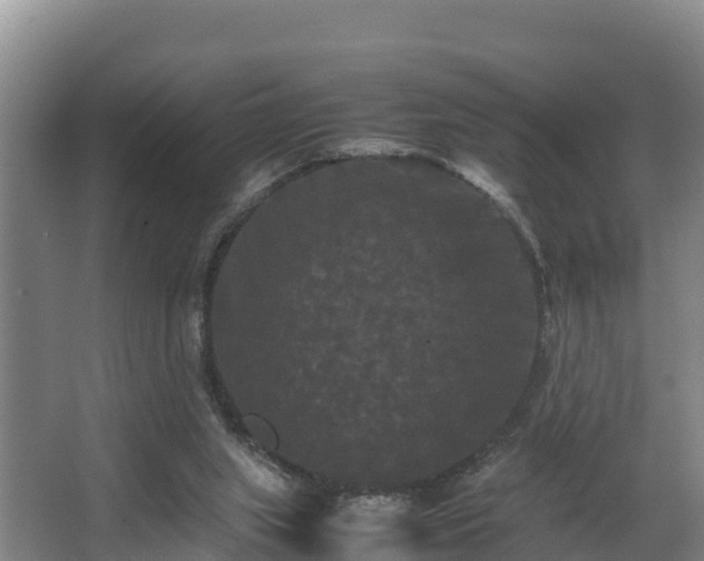 X0000062830063200601171430