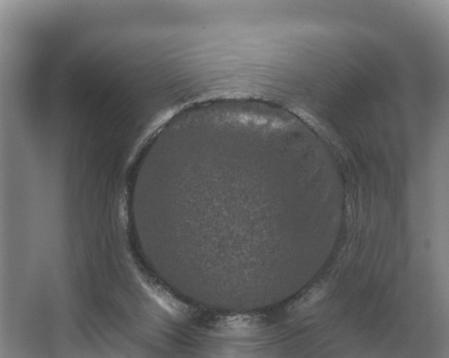 X0000062830064200601171430