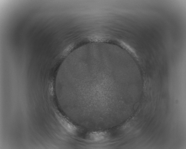 X0000062830065200601171430