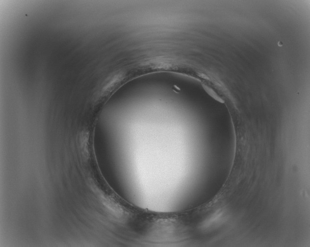 X0000062830066200601171430