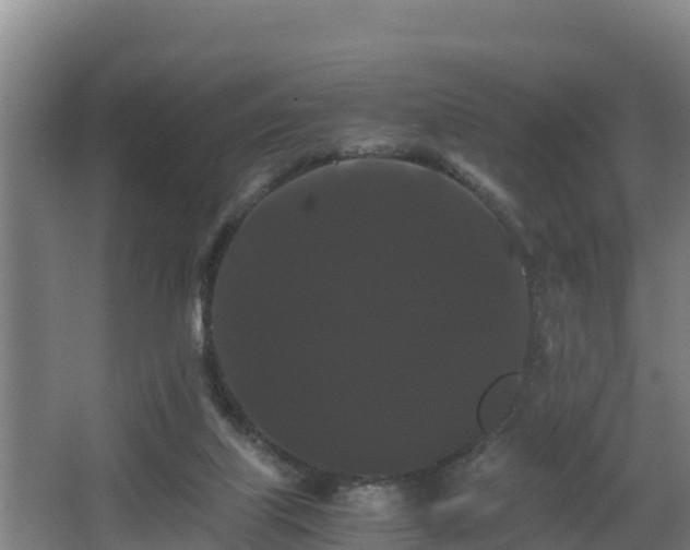 X0000062830067200601171430