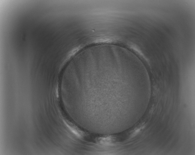 X0000062830068200601171430