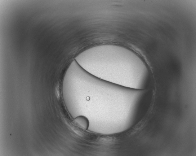 X0000062830069200601171430