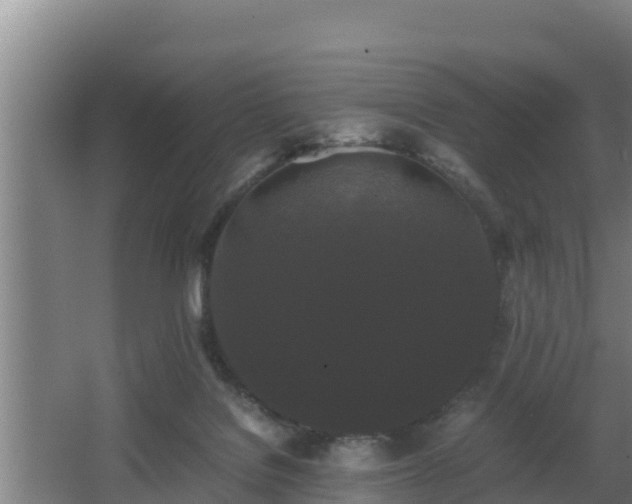 X0000062830076200601171430