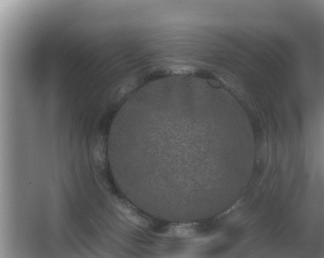 X0000062830078200601171430