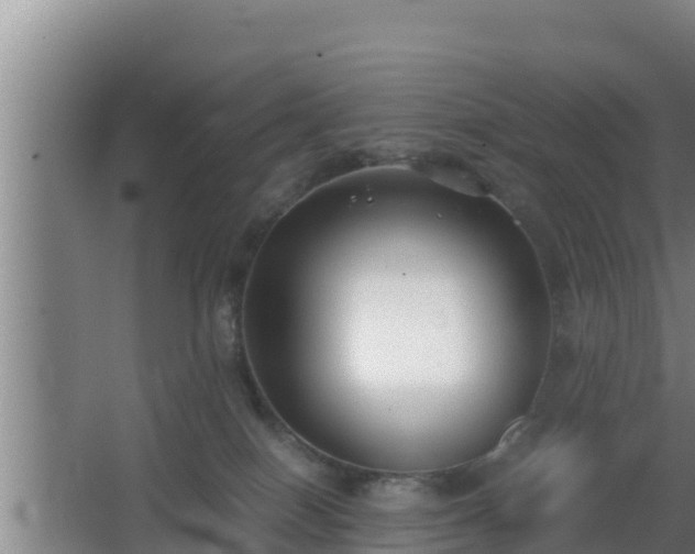 X0000062830086200601171430