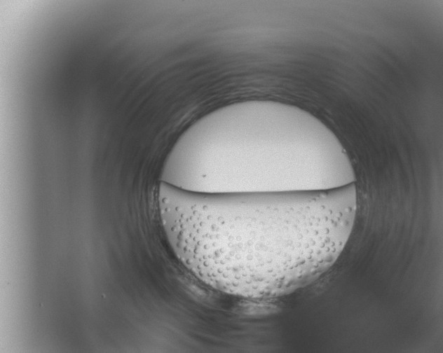 X0000062830093200601171430