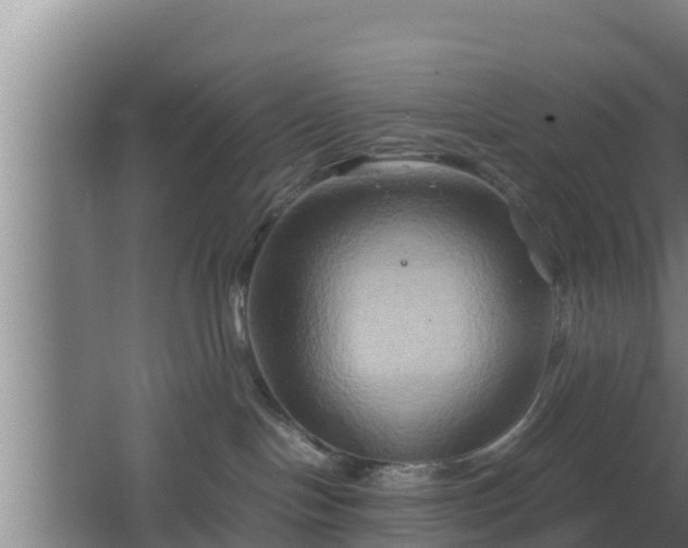 X0000062830094200601171430