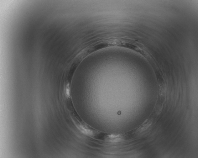 X0000062830095200601171430