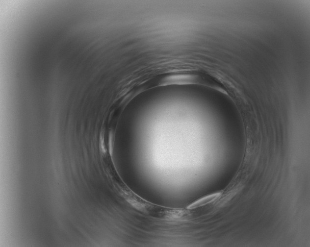 X0000062830096200601171431