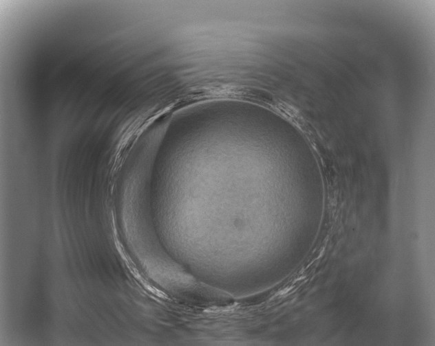 X0000062830097200601171430