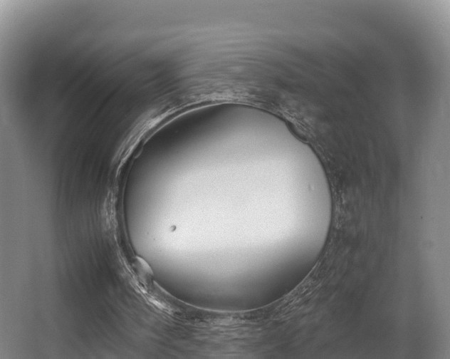 X0000062830098200601171430