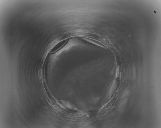 X0000062830099200601171430